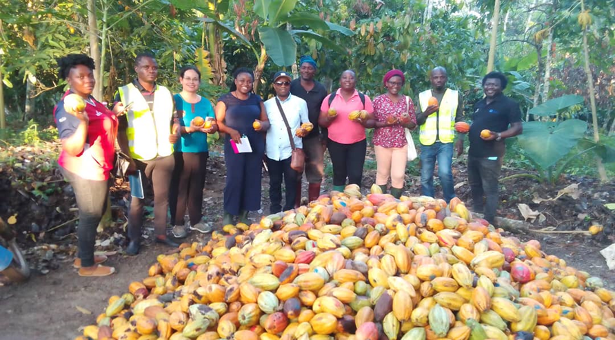 What is happening in Ntui: A Journey Towards Sustainable Cocoa Farming